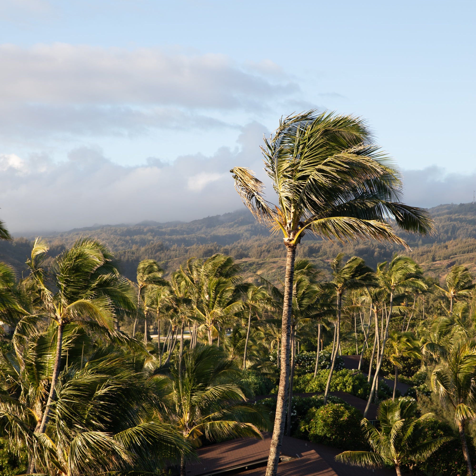 Photographic Art Prints Hawaii
