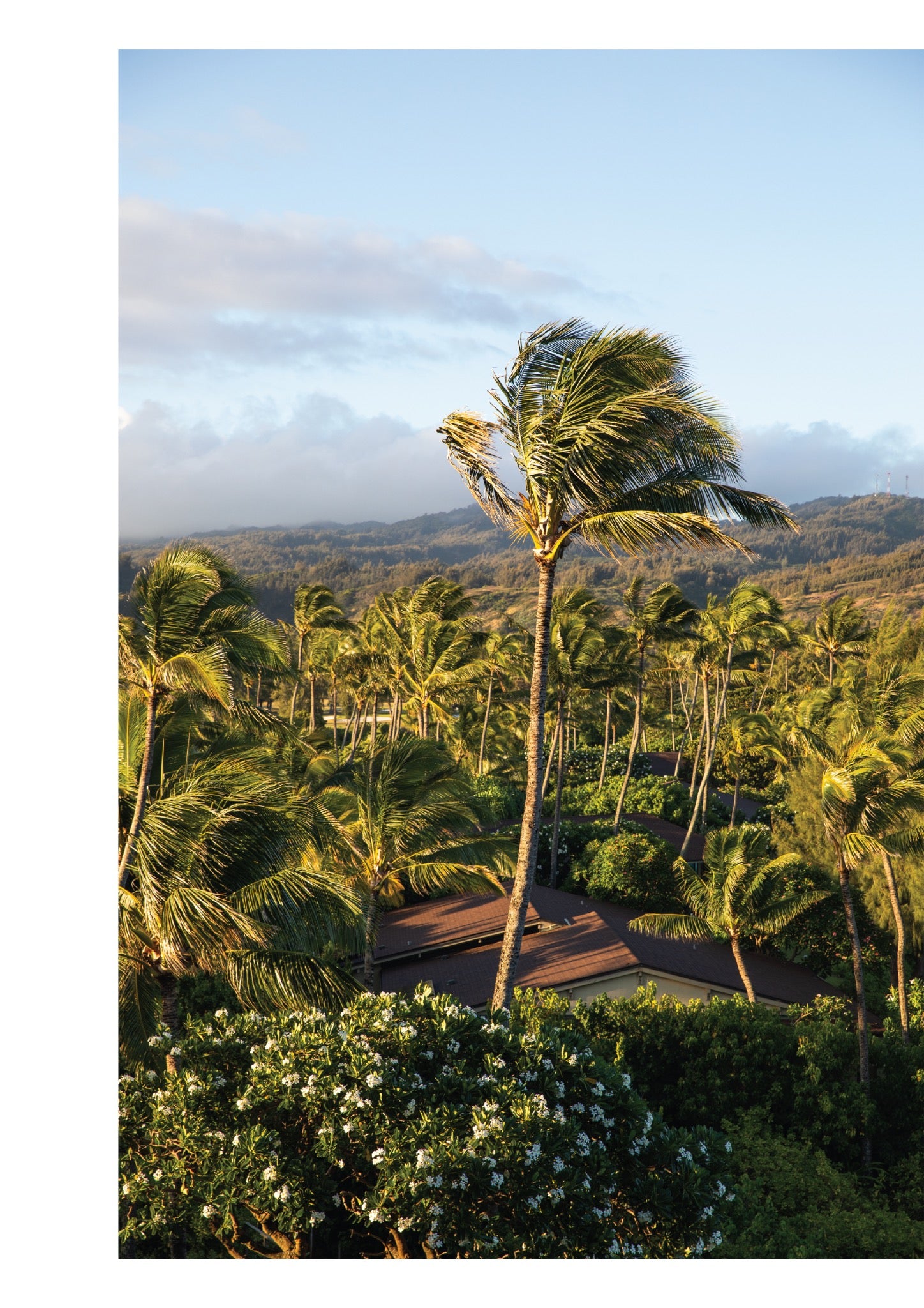 Turtle Bay