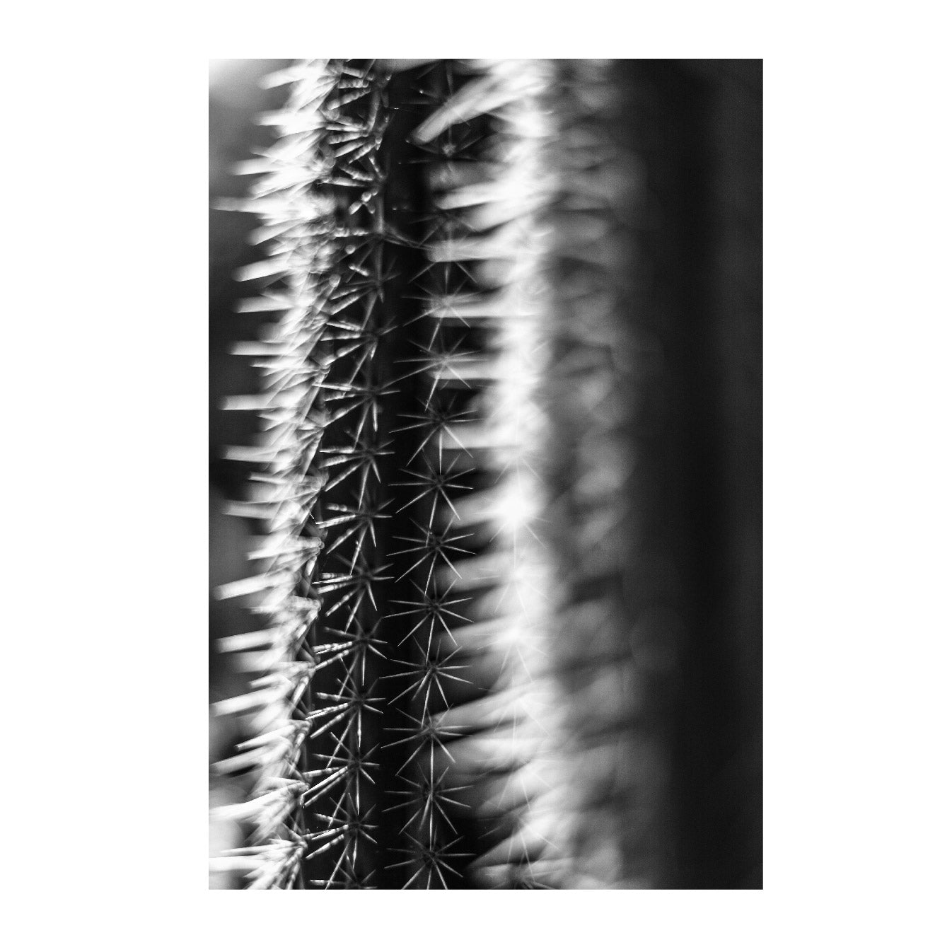 Spiked
