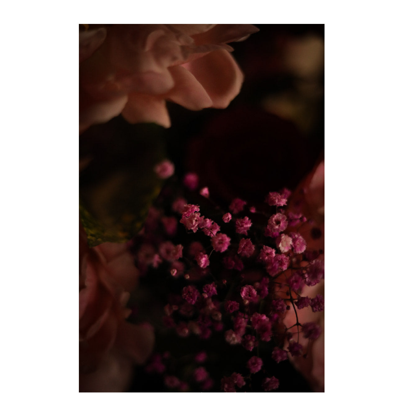 Floral June Fine Art Photographic Print